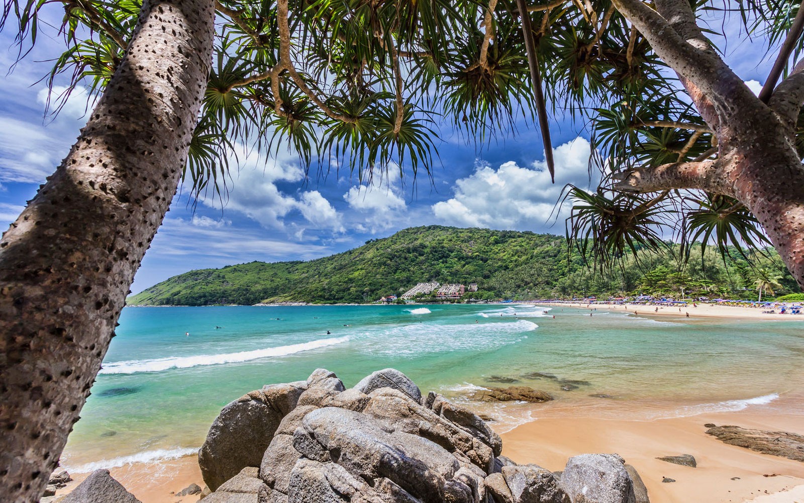 Nai Harn beach _photo