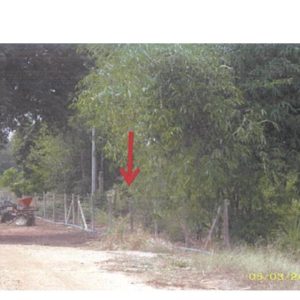 Land with buildings in Nakhon Si Thammarat _photo