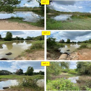 Land with buildings in Khon Kaen _photo