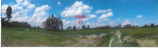 land in Sukhothai _photo