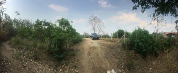 land in Lamphun _photo