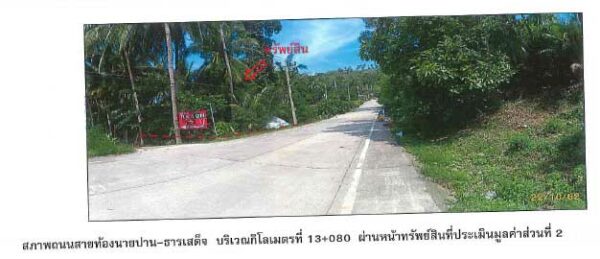 land in Surat Thani _photo