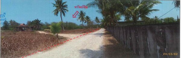 Land with buildings in Phangnga _photo