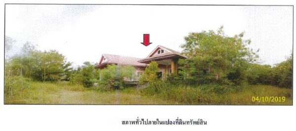 Land with buildings in Surat Thani _photo