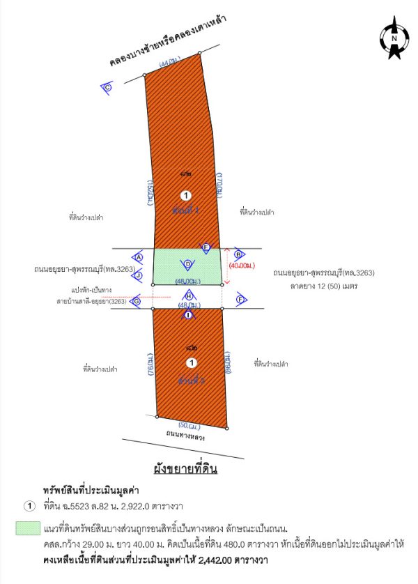 land in Ayutthaya _photo