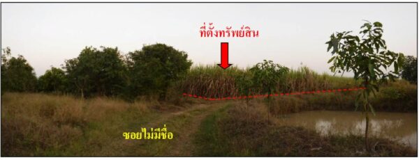 land in Sukhothai _photo