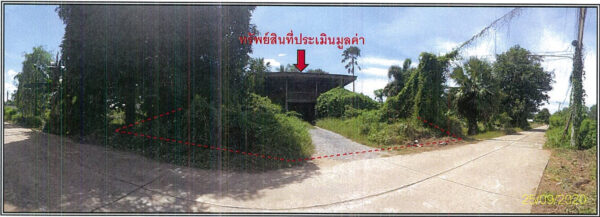 Land with buildings in Phichit _photo