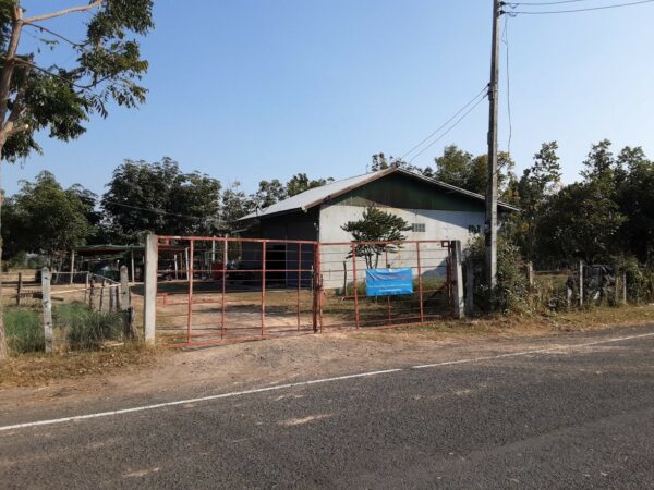 Land with buildings in Buriram _photo