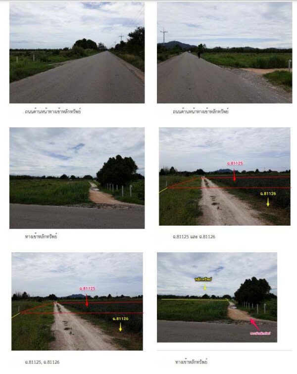 land in Phetchaburi _photo