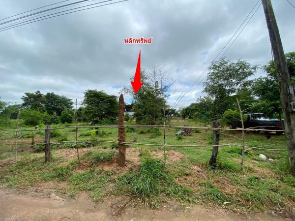 Land with buildings in Khon Kaen _photo