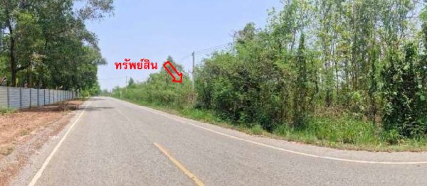 land in Nong Bua Lamphu _photo