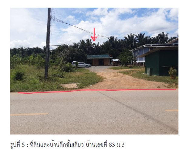 Land with buildings in Surat Thani _photo