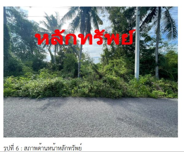 land in Surat Thani _photo