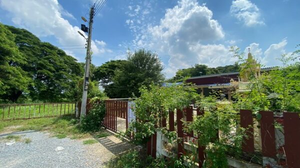 02 Single House _photo