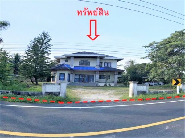 02 Single House _photo