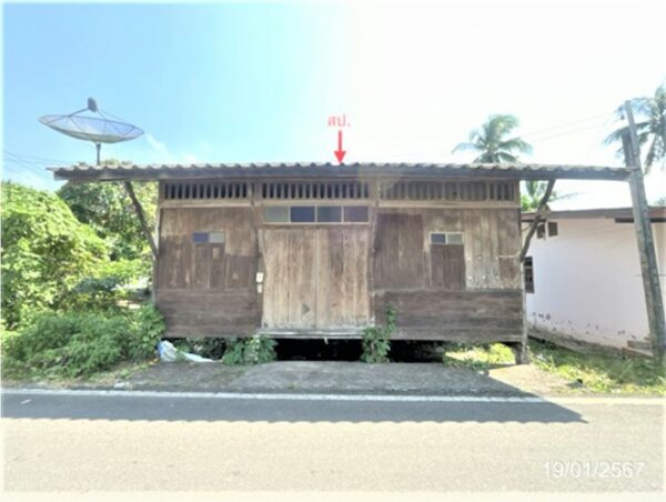 02 Single House _photo