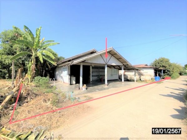 02 Single House _photo