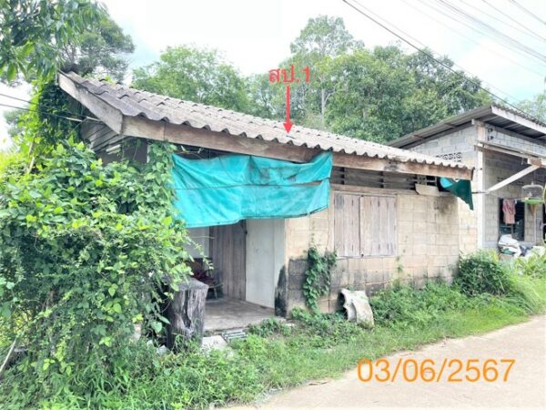 02 Single House _photo