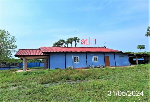 02 Single House _photo