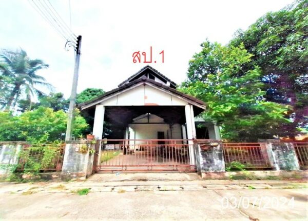 02 Single House _photo