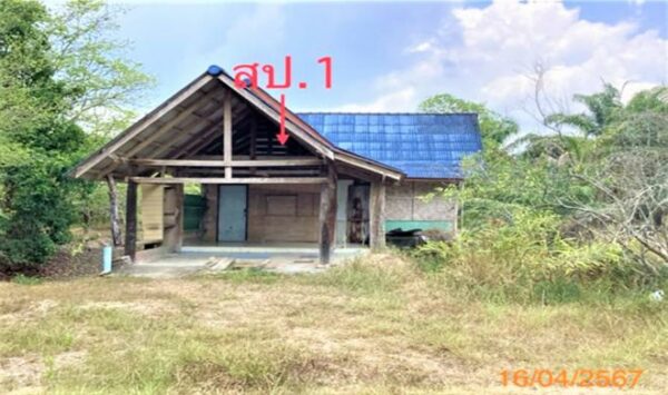 02 Single House _photo