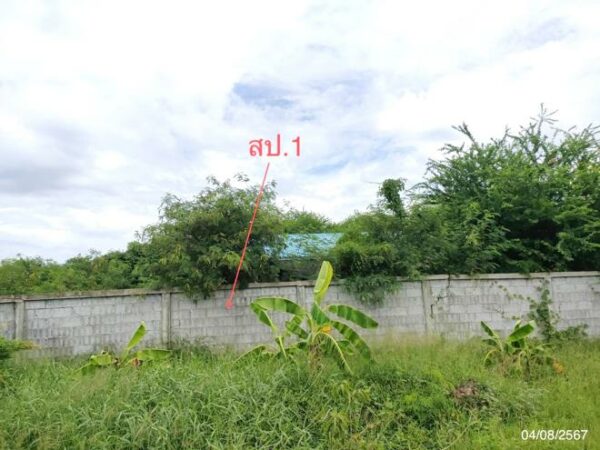 02 Single House _photo