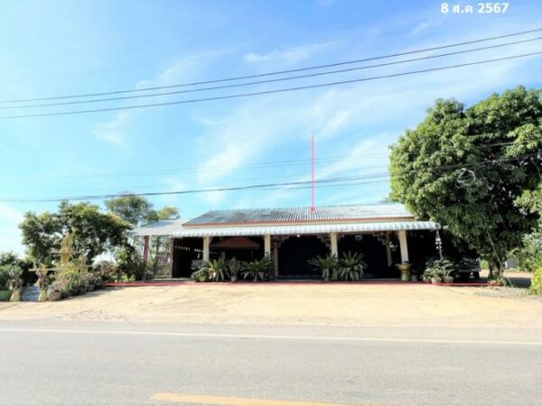 02 Single House _photo