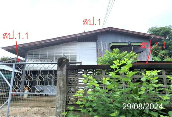 02 Single House _photo