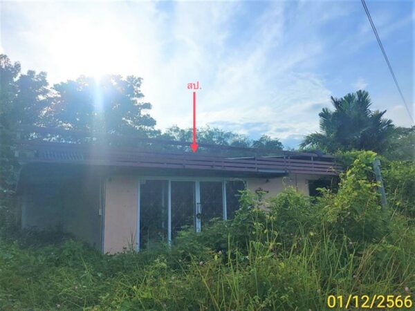 02 Single House _photo