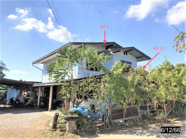 02 Single House _photo