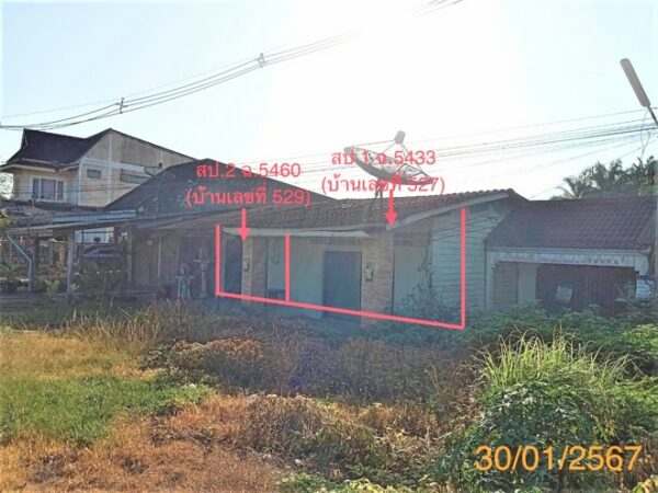 02 Single House _photo