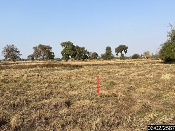 01 Empty Land _photo