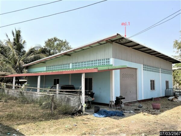 02 Single House _photo