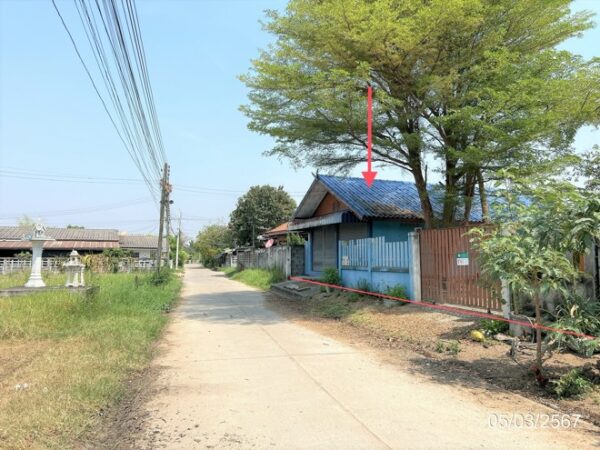 02 Single House _photo