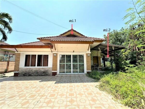 02 Single House _photo