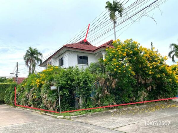 02 Single House _photo