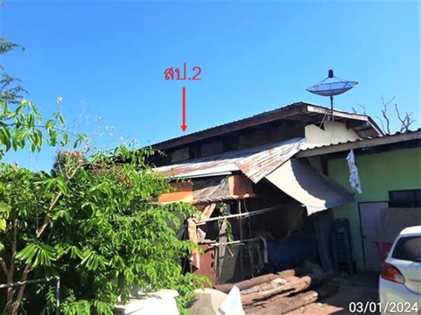 02 Single House _photo