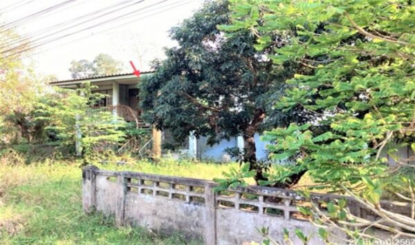 02 Single House _photo