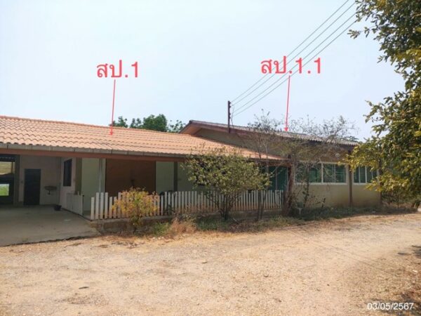 02 Single House _photo