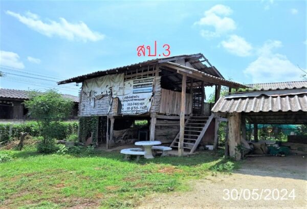 02 Single House _photo