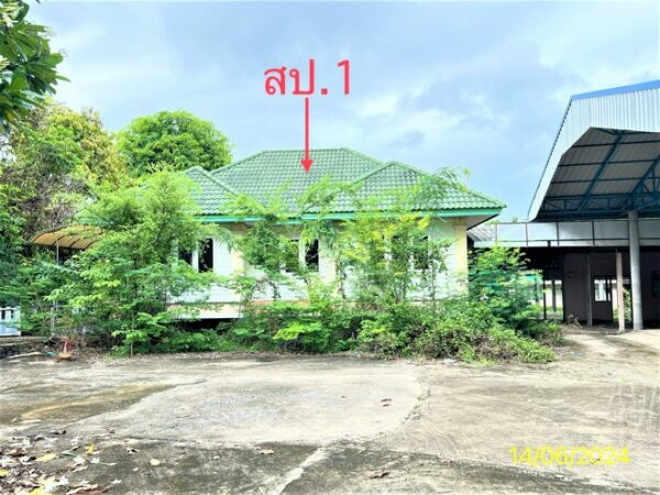 02 Single House _photo