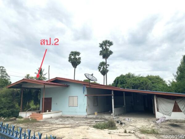 02 Single House _photo