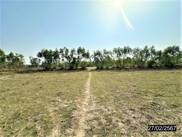 01 Empty Land _photo