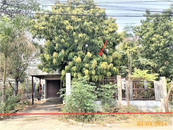 02 Single House _photo