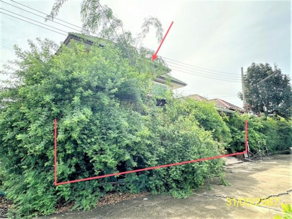 02 Single House _photo