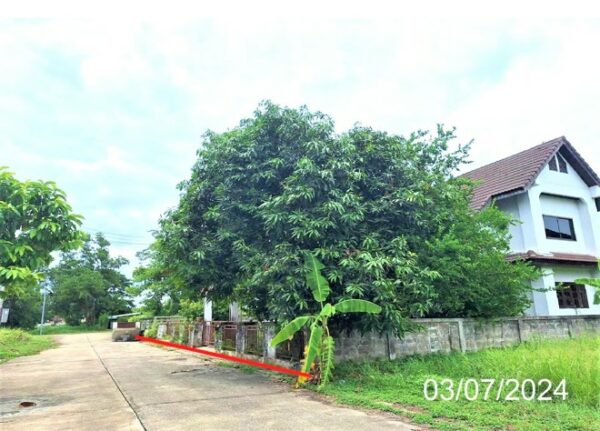 02 Single House _photo