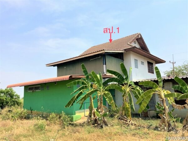 02 Single House _photo