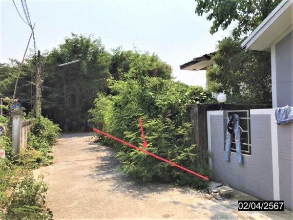 02 Single House _photo