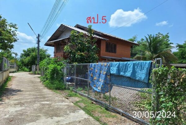 02 Single House _photo