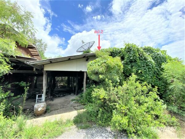 02 Single House _photo